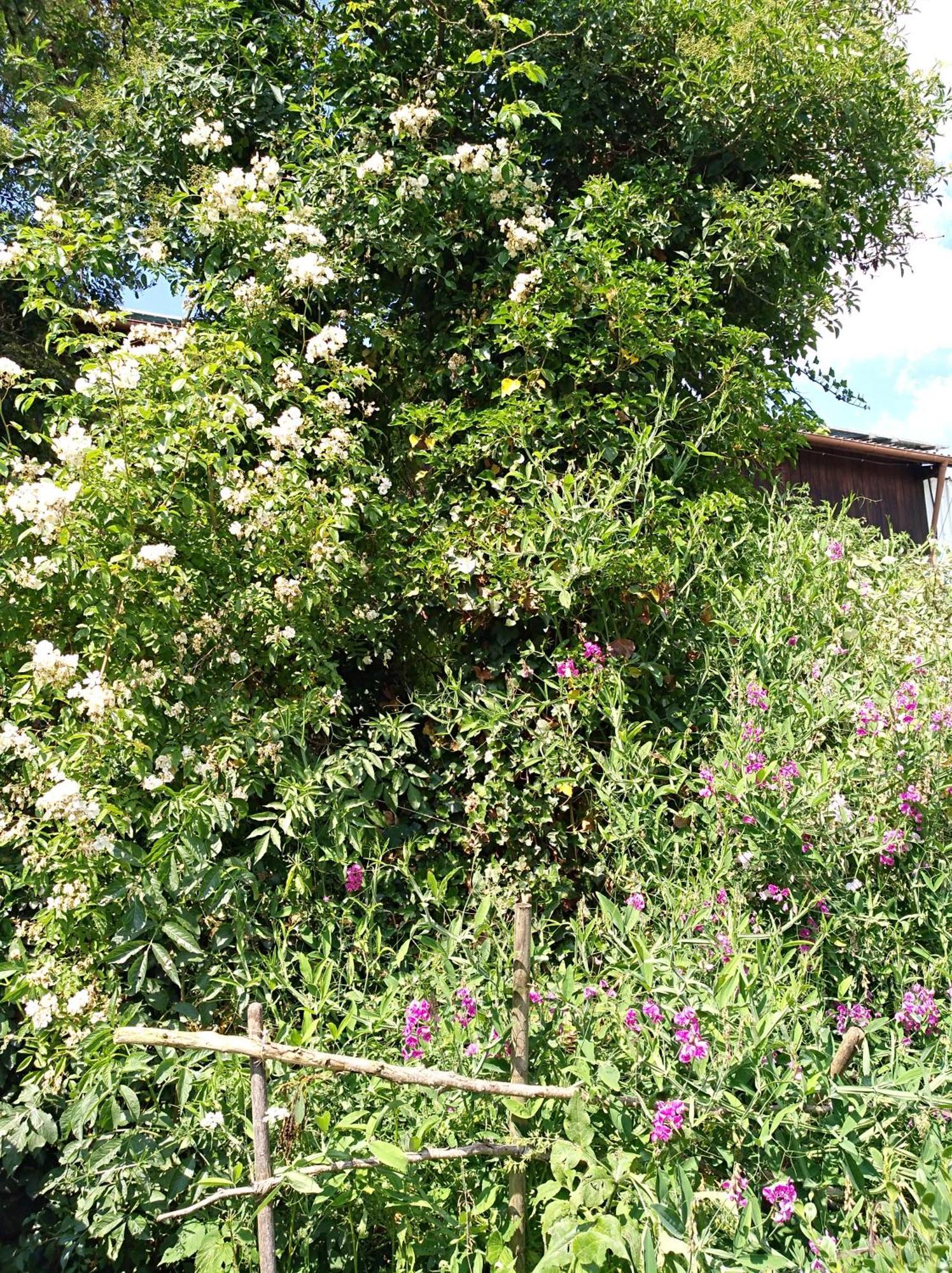 Landhaus Fohlenhof Mehrstetten Bagian luar foto